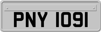 PNY1091