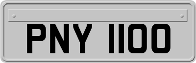 PNY1100