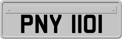 PNY1101