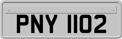 PNY1102