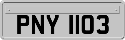 PNY1103
