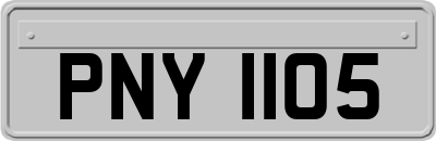 PNY1105