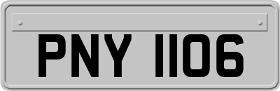 PNY1106