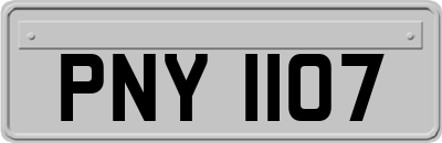 PNY1107