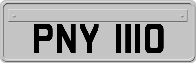 PNY1110