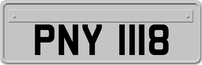 PNY1118