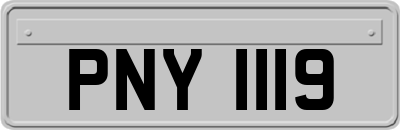 PNY1119