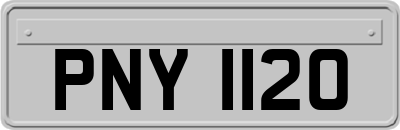 PNY1120