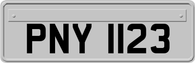 PNY1123