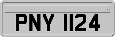 PNY1124
