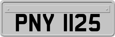 PNY1125