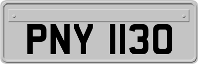 PNY1130