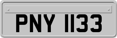 PNY1133