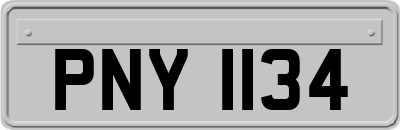 PNY1134