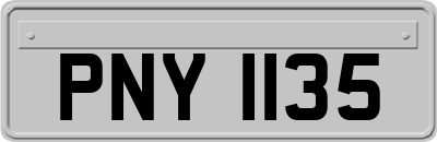 PNY1135