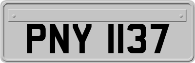 PNY1137