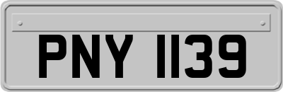 PNY1139