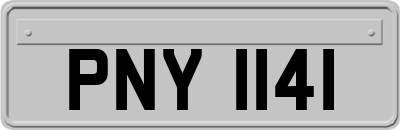 PNY1141