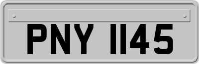 PNY1145