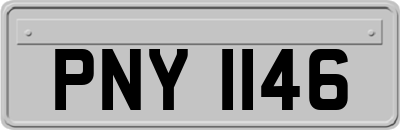 PNY1146