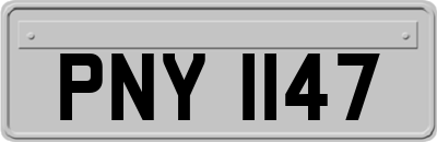 PNY1147