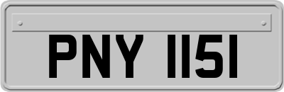 PNY1151