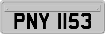 PNY1153