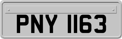 PNY1163