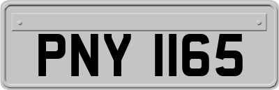 PNY1165
