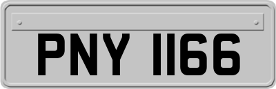 PNY1166
