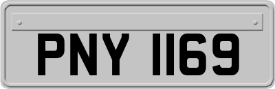 PNY1169