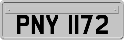PNY1172