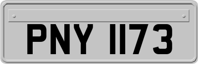 PNY1173