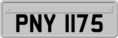 PNY1175