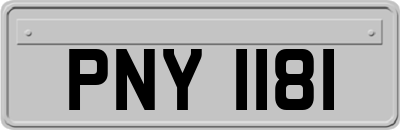 PNY1181