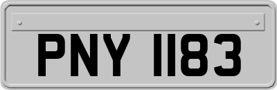 PNY1183