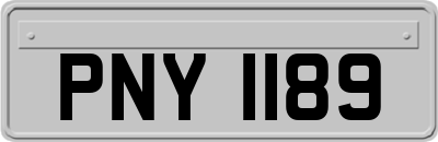 PNY1189