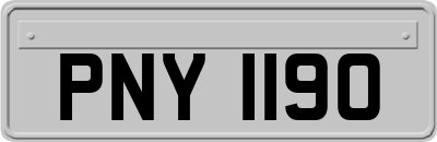 PNY1190