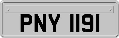 PNY1191