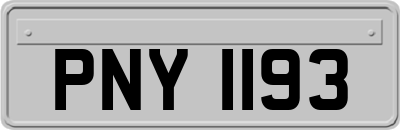 PNY1193