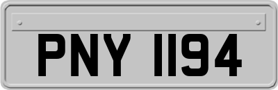PNY1194