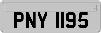 PNY1195