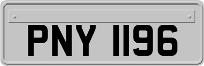 PNY1196