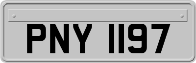 PNY1197