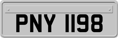 PNY1198