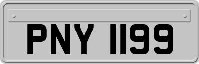 PNY1199