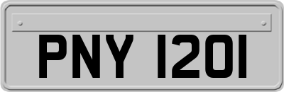 PNY1201