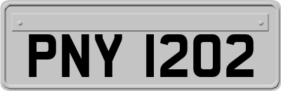 PNY1202