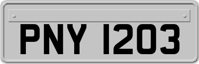 PNY1203