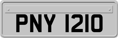 PNY1210